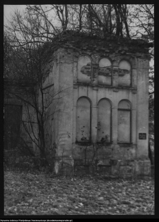 Hieronimowo, ruiny pałacu