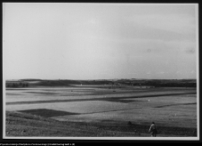 Osowa, w drodze ze wsi do cmentarzyska kurhanowego