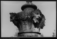 Białystok, Pałac Branickich, ogrody