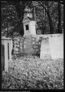 Trześcianka, fragment ogrodzenia przy cerkwi