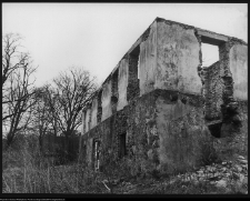 Ruiny dworu
