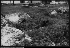 Choroszcz, zespół budynków szpitala