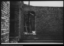 Białystok, Pałac Branickich