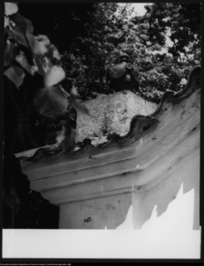 Niemirów, wazon na bramie przy kościele