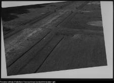 Białystok, Pałac Branickich, ogrody