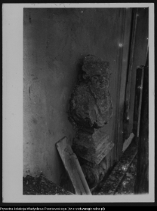 Białystok, Pałac Branickich, popiersie na elewacji pałacowej