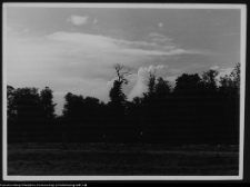 Białystok, Pałac Branickich, park