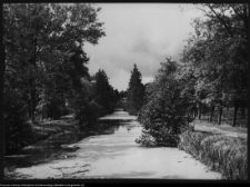 Choroszcz, park pałacowy