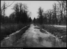 Choroszcz, park pałacowy