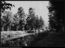Choroszcz, park pałacowy