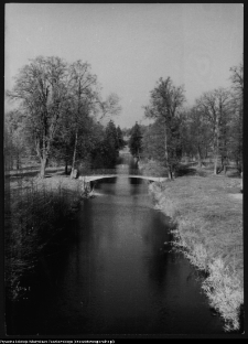 Choroszcz, park pałacowy