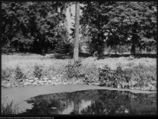 Choroszcz, park pałacowy