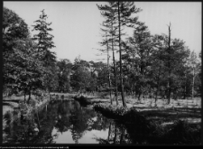 Choroszcz, park pałacowy