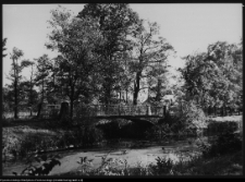 Choroszcz, park pałacowy