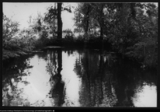 Choroszcz, park pałacowy