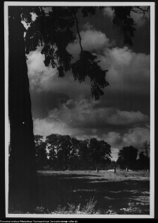 Białystok, Ogrody Branickich