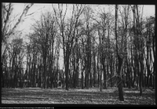 Białystok, Ogrody Branickich