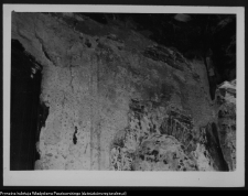 Białystok, Pałac Branickich