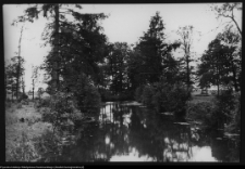 Choroszcz, park pałacowy