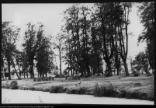 Choroszcz, park pałacowy