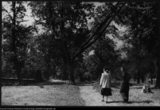 Choroszcz, park pałacowy