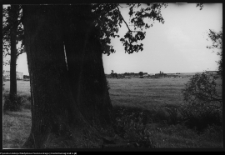 Choroszcz, park pałacowy i jego otoczenie