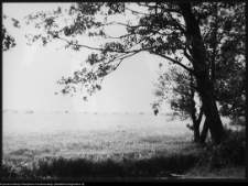Choroszcz, park pałacowy i jego otoczenie