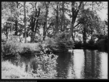 Choroszcz, park pałacowy