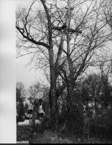 Chodorówka, krzyże cmentarne