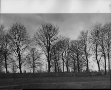 Chodorówka, krzyże cmentarne