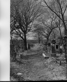 Chodorówka, krzyże cmentarne