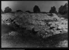 Tykocin, ruiny zamku