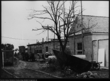 Wigry : zesp&oacute;ł klasztorno-kościelny