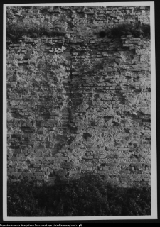 Wigry : zesp&oacute;ł klasztorno-kościelny