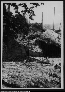 Wigry : zesp&oacute;ł klasztorno-kościelny