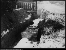 Wigry, mur - górny taras