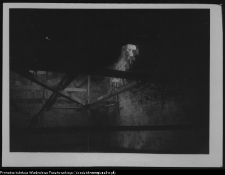 Wigry : zespół klasztorno-kościelny