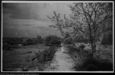 Wigry, teren dawnych ogr&oacute;dk&oacute;w eremit&oacute;w