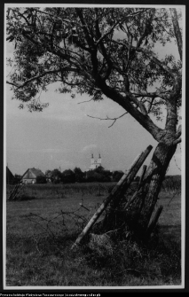 Wigry : kości&oacute;ł pokamedulski