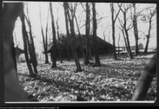 Wiejska architektura drewniana