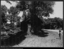 Wiejska architektura drewniana