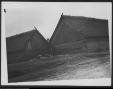 Wiejska architektura drewniana