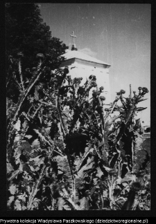 Drohiczyn, dzwonnica przy kościele parafialnym