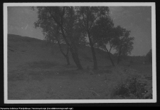 Drohiczyn, grodzisko