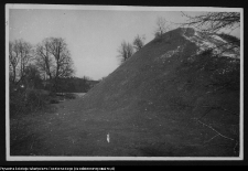 Drohiczyn, grodzisko