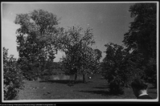 Bęćkowo, ogród dworski