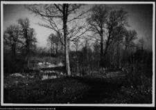 Bęćkowo, otoczenie dworu