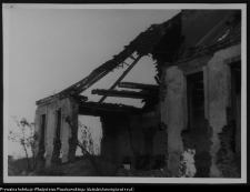 Tybory-Kamianka, Pałac Roszkowskich