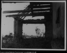 Tybory-Kamianka, Pałac Roszkowskich