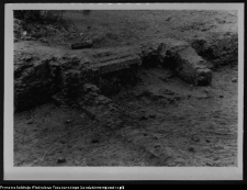 Tybory-Kamianka, Pałac Roszkowskich